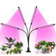 Επιτραπέζιο Grow Light με 80 LED και Ισχύ 80W 65εκ.