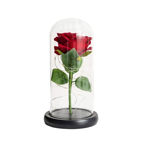 Παντοτινό Τριαντάφυλλο 22cm με LED B08R68HHJR