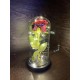Παντοτινό Τριαντάφυλλο 22cm με LED B08R68HHJR