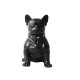 OEM H-M10M Aerobull Nano Bulldog Head Rotatable BLACK OEM H-M10M Aerobull Nano Bulldog Head Rotatable BLACK